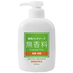 （まとめ） 第一石鹸 薬用ハンドソープ 無香料 本体 250ml 1本 【×20セット】