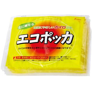 （まとめ） 宝商 エコポッカ 1パック（10個） 【×10セット】