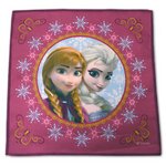 アナと雪の女王　マルチクリーナー（アナ＆エルサ）