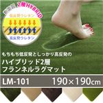 スミノエ 低反発高反発フランネルラグマット 190×190cm 正方形 グリーン LM-101