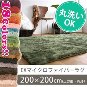 スミノエ EXマイクロファイバーラグ 200×200cm 正方形 ベージュ MS-300