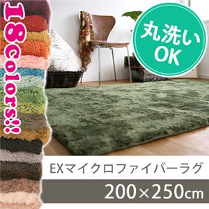 スミノエ EXマイクロファイバーラグ 200×250cm アクアスカイ MS-300