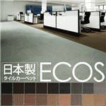 スミノエ タイルカーペット 日本製 業務用 防炎 撥水 防汚 制電 ECOS SG-351 50×50cm 20枚セット ランダムストライプタイプ 【日本製】