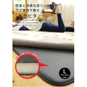 防音 ふかふか下敷き専用ラグ ふかぴた 約170×230cm3帖用