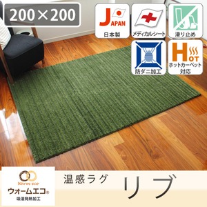 スミノエ ウォームエコ ラグ リブ 200×200cm ベージュ 【日本製】