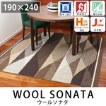 スミノエ ウールマーク 防炎 ラグ ウールソナタ 190×240cm ブラウン 【日本製】
