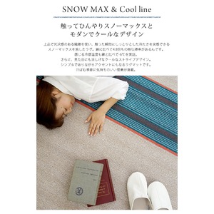 スミノエ 涼感スノウマックス ラグ クールライン 130×190cm ベージュ