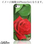 CollaBorn スマホカバー AQUOS PHONE ZETA（SH-01F） 「Floral patterns09B」