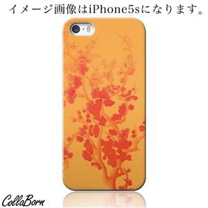 CollaBorn スマホカバー iPhone5／5s 「Floral patterns13B」