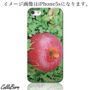 CollaBorn スマホカバー iPhone5／5s 「Apple」