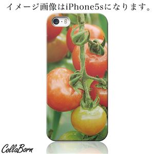 CollaBorn スマホカバー iPhone5c 「Mini-tomatoes」