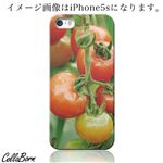 CollaBorn スマホカバー iPhone5c 「Mini-tomatoes」