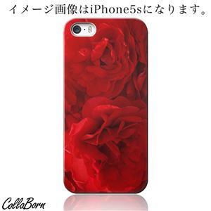 CollaBorn スマホカバー Xperia Z1（SO-01F） 「RED ROSE」