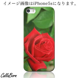 CollaBorn スマホカバー Xperia Z1（SO-01F） 「Floral patterns09B」