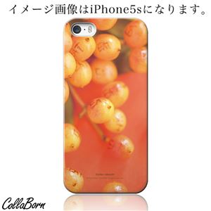 CollaBorn スマホカバー AQUOS PHONE ZETA（SH-01F） 「ripe fruit」