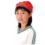 （まとめ）アーテック バンダナ 白 【×30セット】