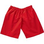 （まとめ）アーテック デカパン競争パンツ 赤 【×5セット】