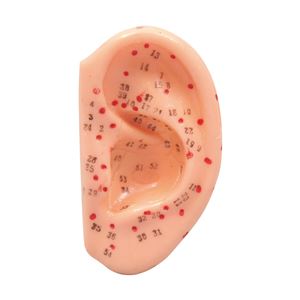 （まとめ）アーテック 耳経穴模型7cm 【×10セット】
