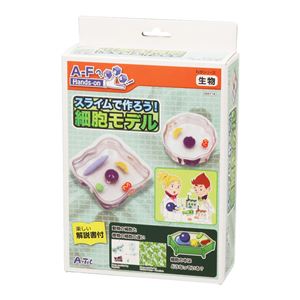 （まとめ）アーテック スライムで作ろう！細胞モデル 【×5セット】