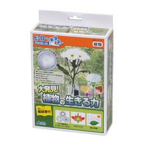 （まとめ）アーテック 大発見！植物の生きる力 【×5セット】