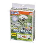 （まとめ）アーテック 大発見！植物の生きる力 【×5セット】