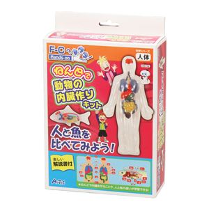 （まとめ）アーテック ねんどで動物の内臓作りキット 【×18セット】