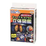（まとめ）アーテック 地球の中身が見える！キューブ＆カプセル立体図 【×5セット】