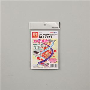 （まとめ）アーテック DNAストラップ作り 【×30セット】