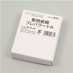 （まとめ）アーテック 動物組織プレパラートA 【×5セット】