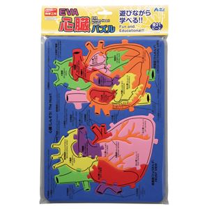 （まとめ）アーテック EVA心臓パズル 【×30セット】