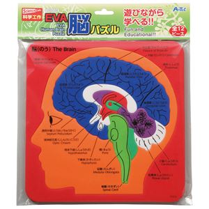 （まとめ）アーテック EVA脳パズル 【×30セット】