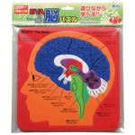（まとめ）アーテック EVA脳パズル 【×30セット】