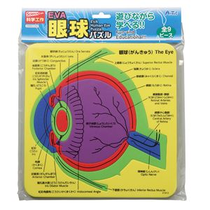 （まとめ）アーテック EVA眼球パズル 【×30セット】