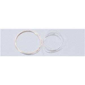 （まとめ）アーテック 七宝用具 銀リボン線 （1m） GT-7 【×5セット】