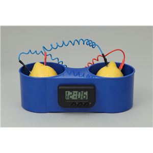 （まとめ）アーテック 果物電池実験器 【×5セット】
