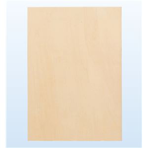 （まとめ）アーテック パネル A1 桐枠 【×5セット】