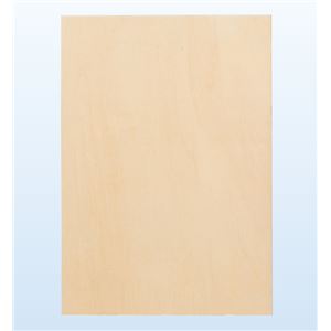 （まとめ）アーテック パネル 写真用全判 【×5セット】