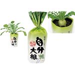 （まとめ）アーテック 自分大根 【×5セット】