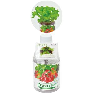 （まとめ）アーテック 育てるグリーンペットベジミニレタス 【×10セット】