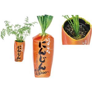 （まとめ）アーテック 1本でもにんじん 【×10セット】