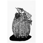 （まとめ）アーテック ホワイト切り絵 【×15セット】