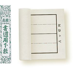 （まとめ）アーテック 罫線入下敷 八ッ切判 【×15セット】