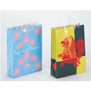 （まとめ）アーテック 紙の手さげ袋つくり B（組立済） 【×15セット】