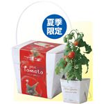 （まとめ）アーテック ベジコンテナ トマト 【×15セット】
