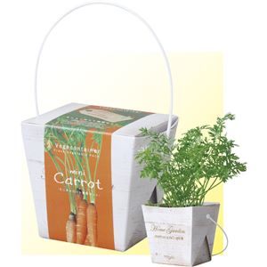 （まとめ）アーテック ベジコンテナ ミニキャロット 【×15セット】