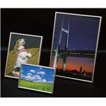 （まとめ）アーテック メタリックフレーム 100×150mm 【×30セット】