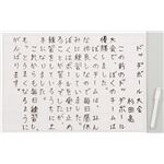 （まとめ）アーテック 学習発表シート（両面）ボードマーカー付 【×30セット】