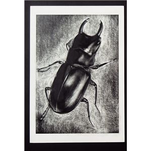 （まとめ）アーテック けしゴム スクラッチ 青 【×30セット】