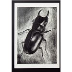 （まとめ）アーテック けしゴム スクラッチ 青 【×30セット】