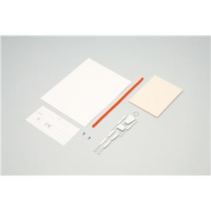 （まとめ）アーテック 12年後のわたし 【×30セット】